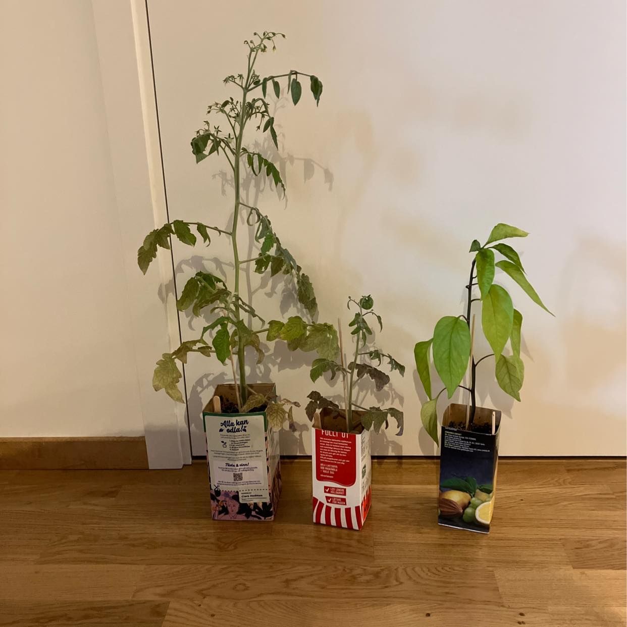 image of Planter - Bandhagen