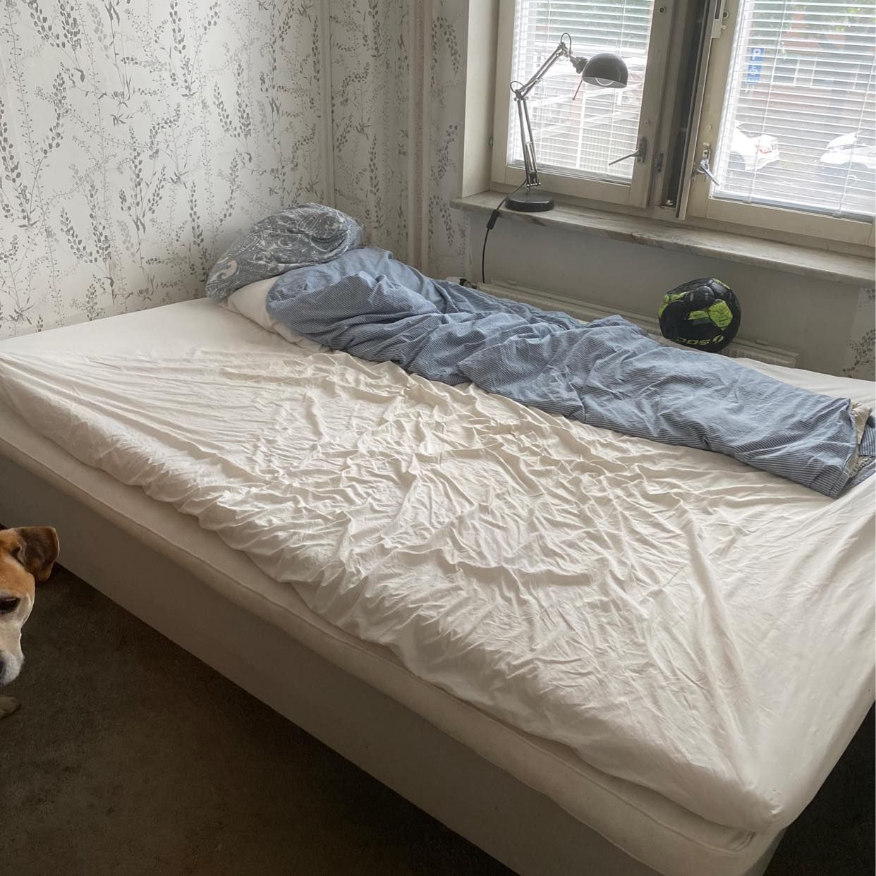 image of Bed - 