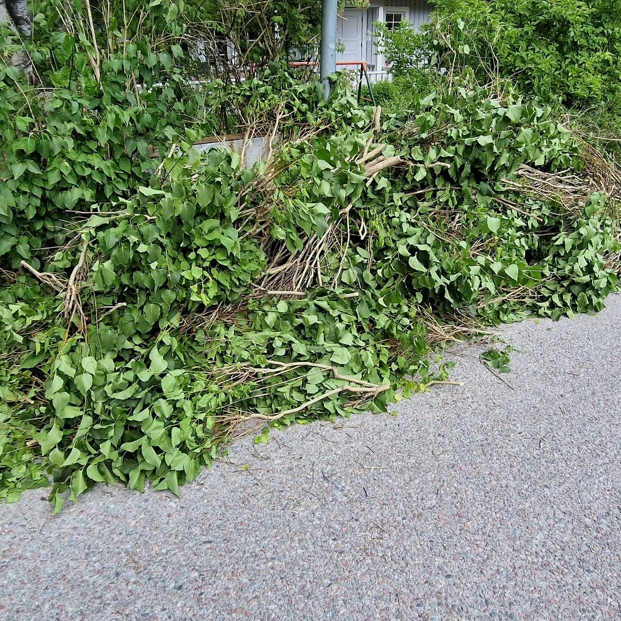 image of Garden waste - Täby