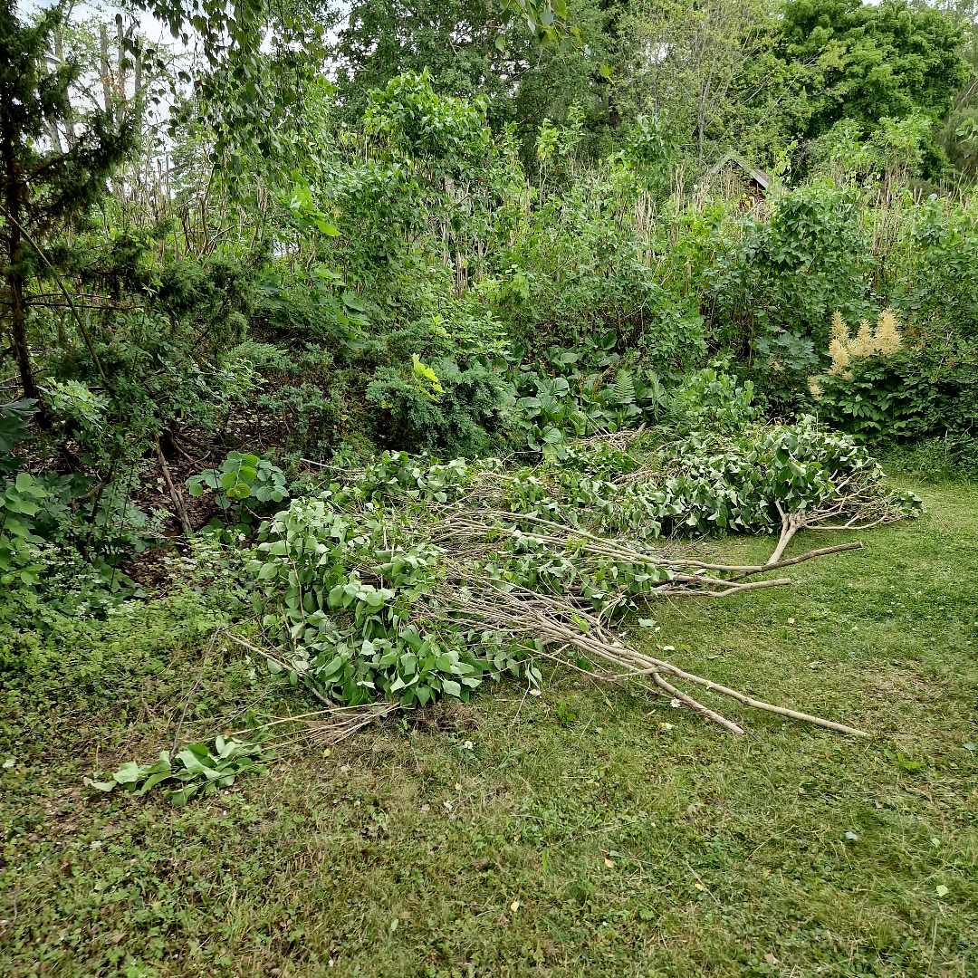 image of Garden waste - Täby