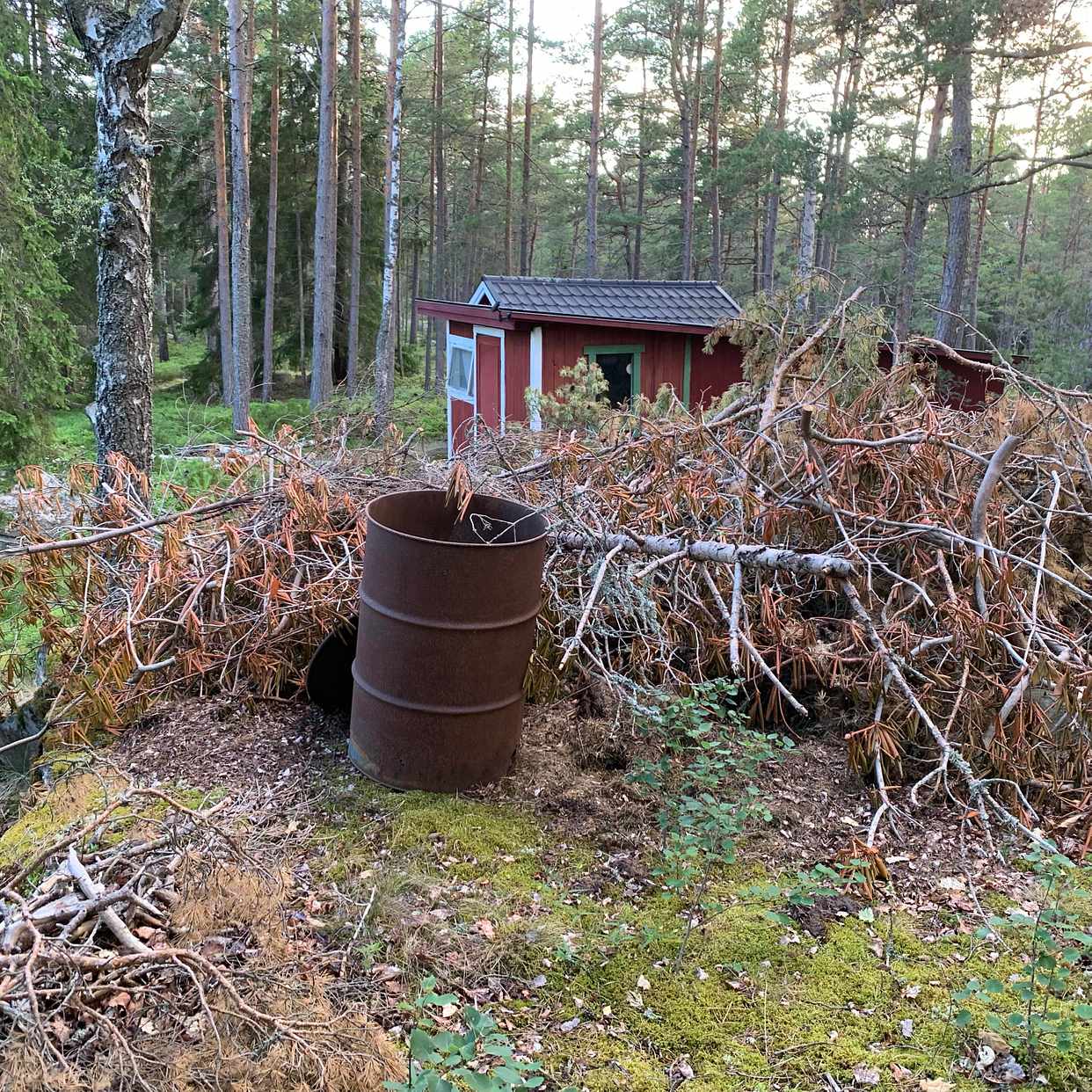 image of Ta bort träd och grenar - Värmdö
