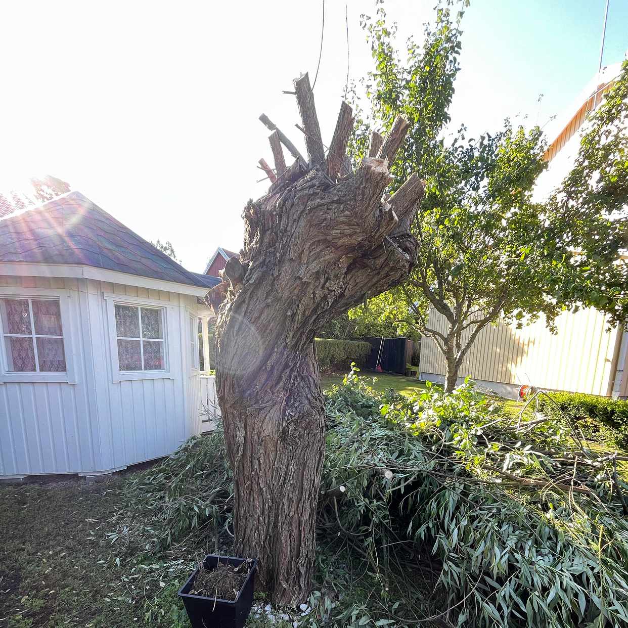 image of Tree, trädgårdsavfall, mm - Spånga