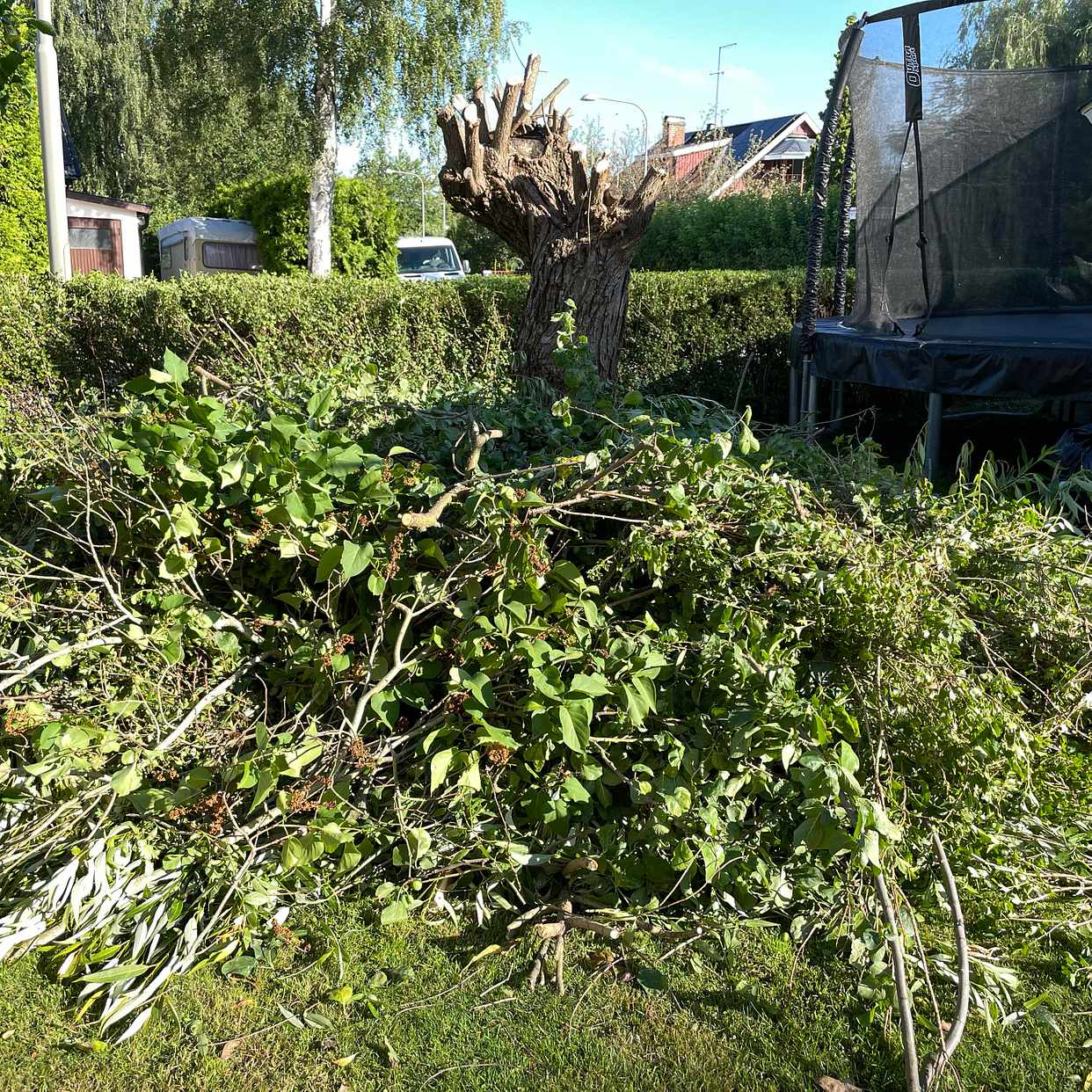 image of Tree, trädgårdsavfall, mm - Spånga