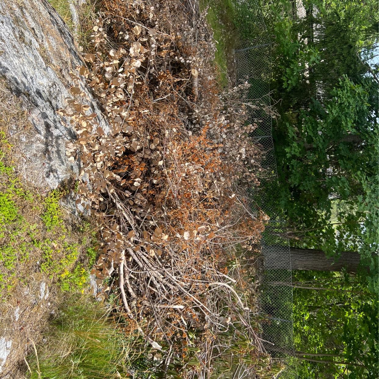 image of Nej - Tyresö