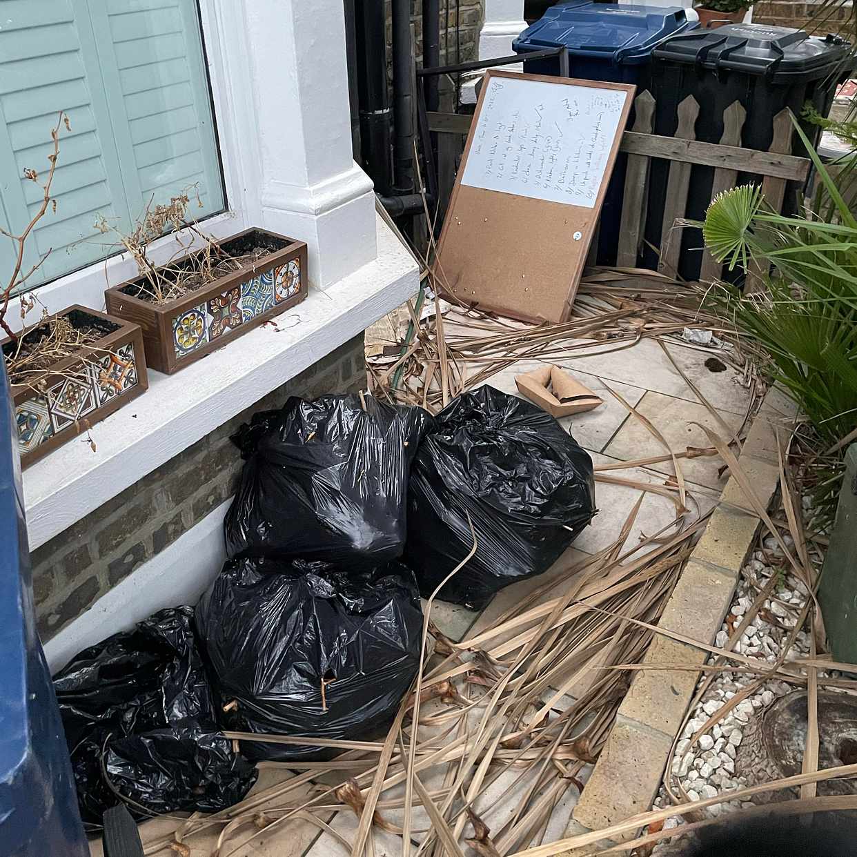 image of Remove garden waste - London