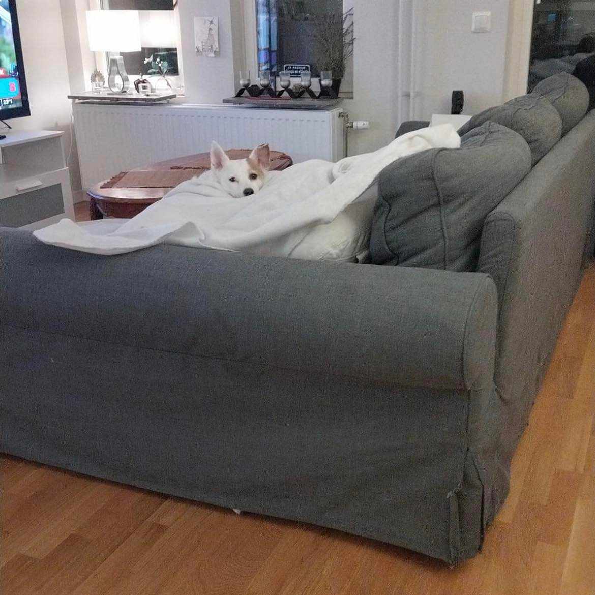 image of Sofa - 