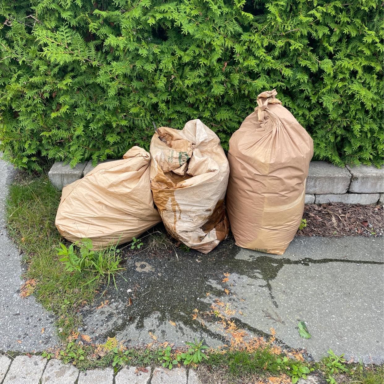 image of Garden waste - Täby