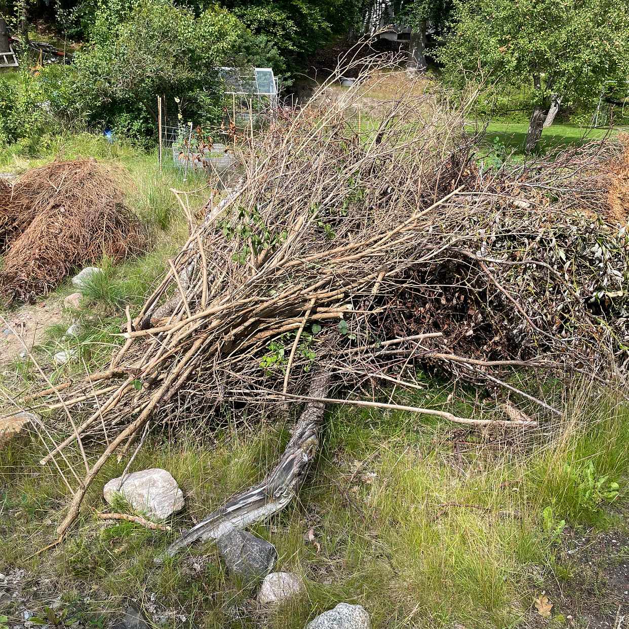 image of Grenar, kvistar & granar - Saltsjö-Boo