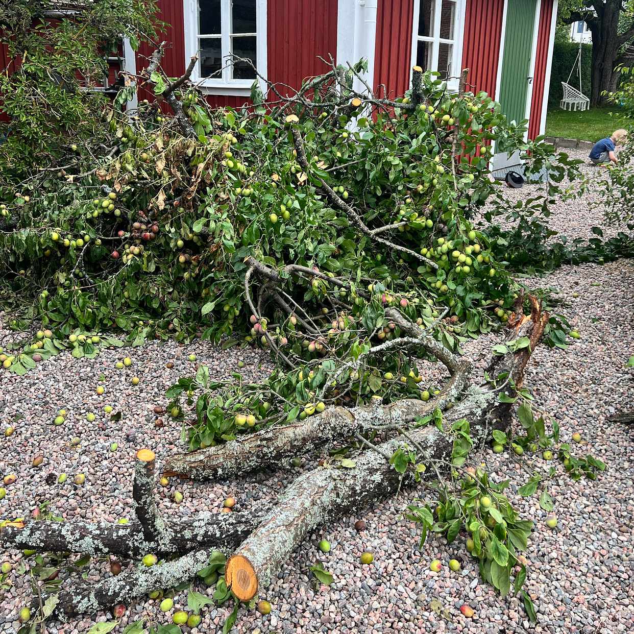 image of Trädgårdsavfall till tipp - Nyköping