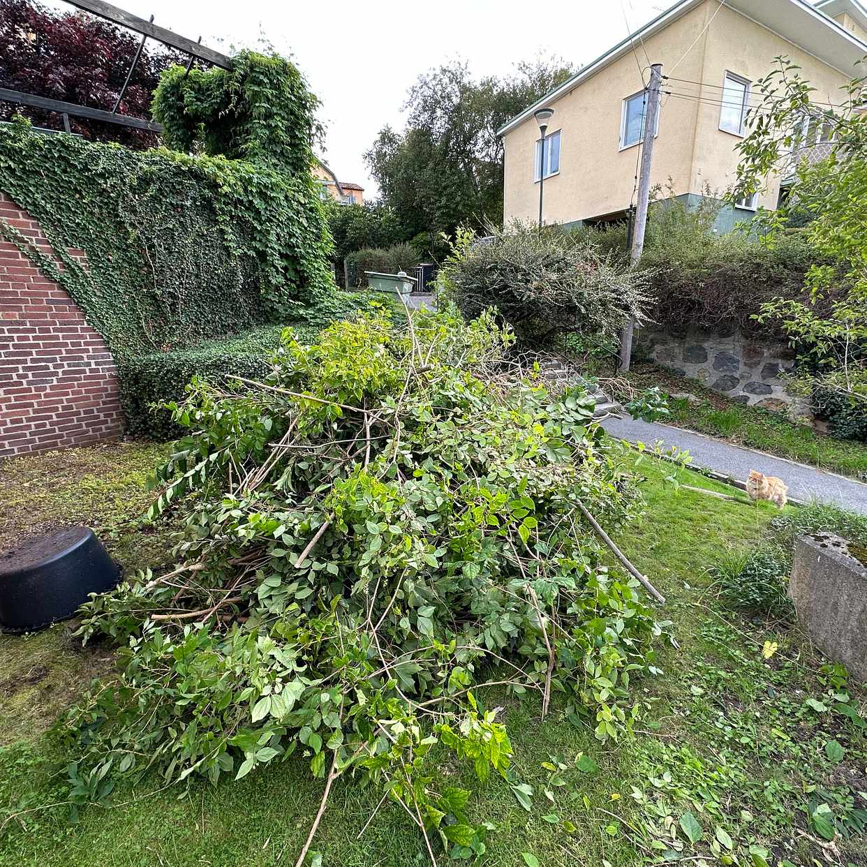 image of Garden waste - Hägersten