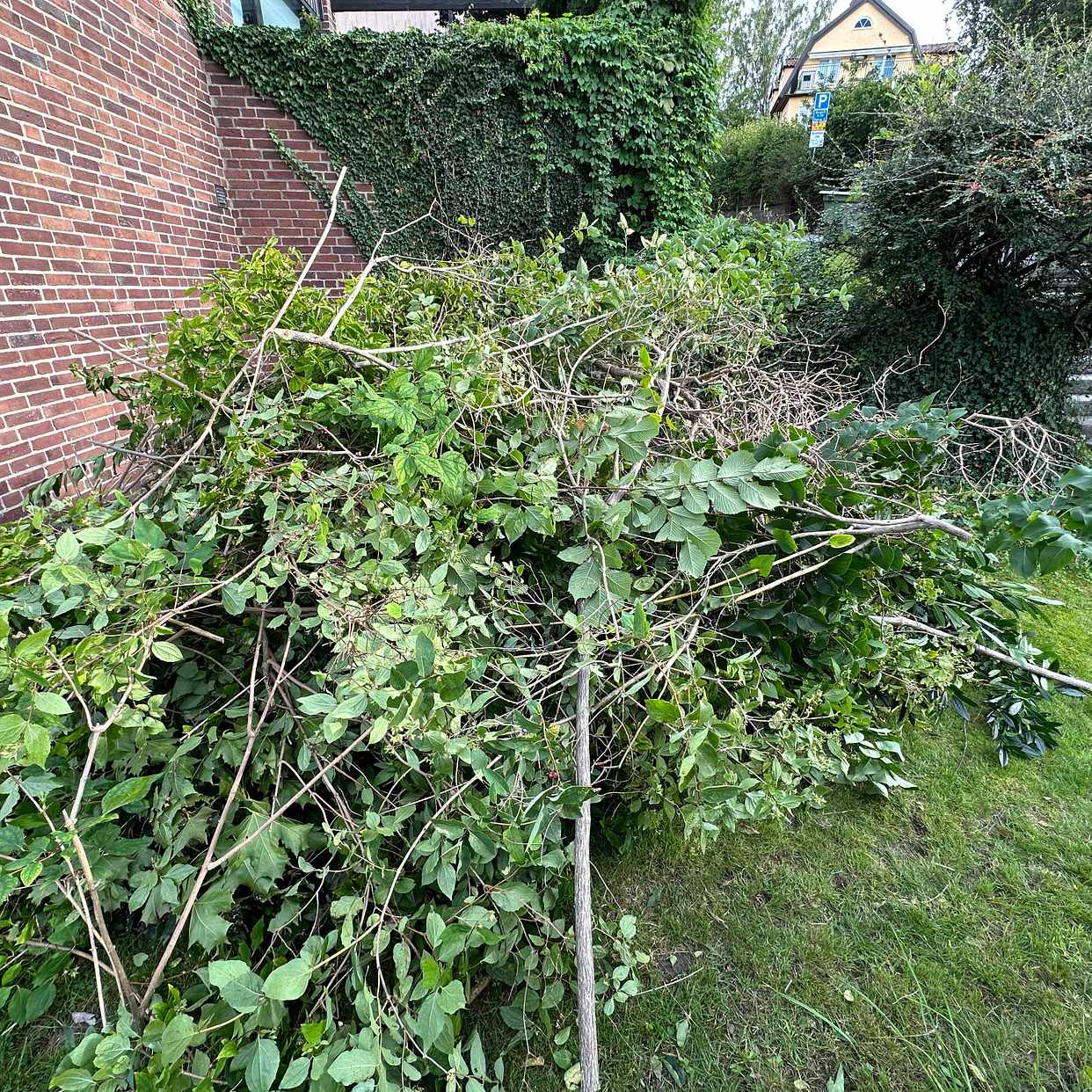 image of Garden waste - Hägersten