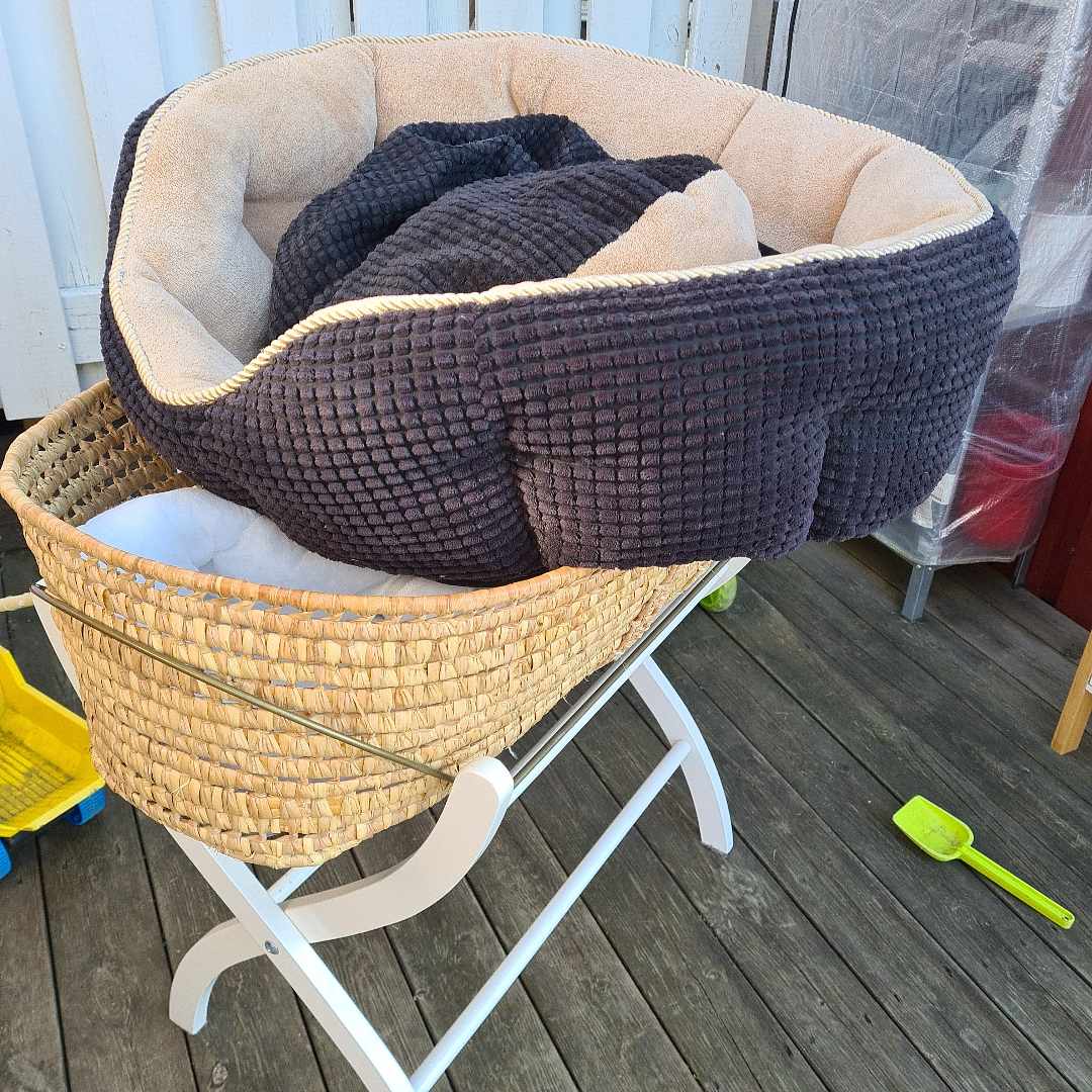 image of Dog bed plus baby basket - Tullinge