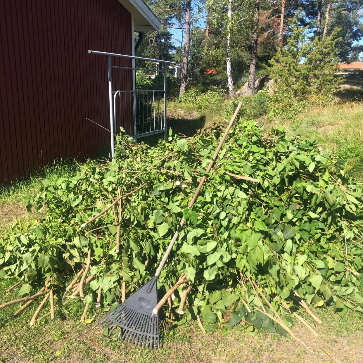 image of Frakta rishög till tippen - Vallentuna