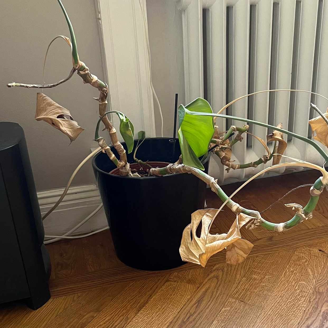 image of Various household waste - Stockholm