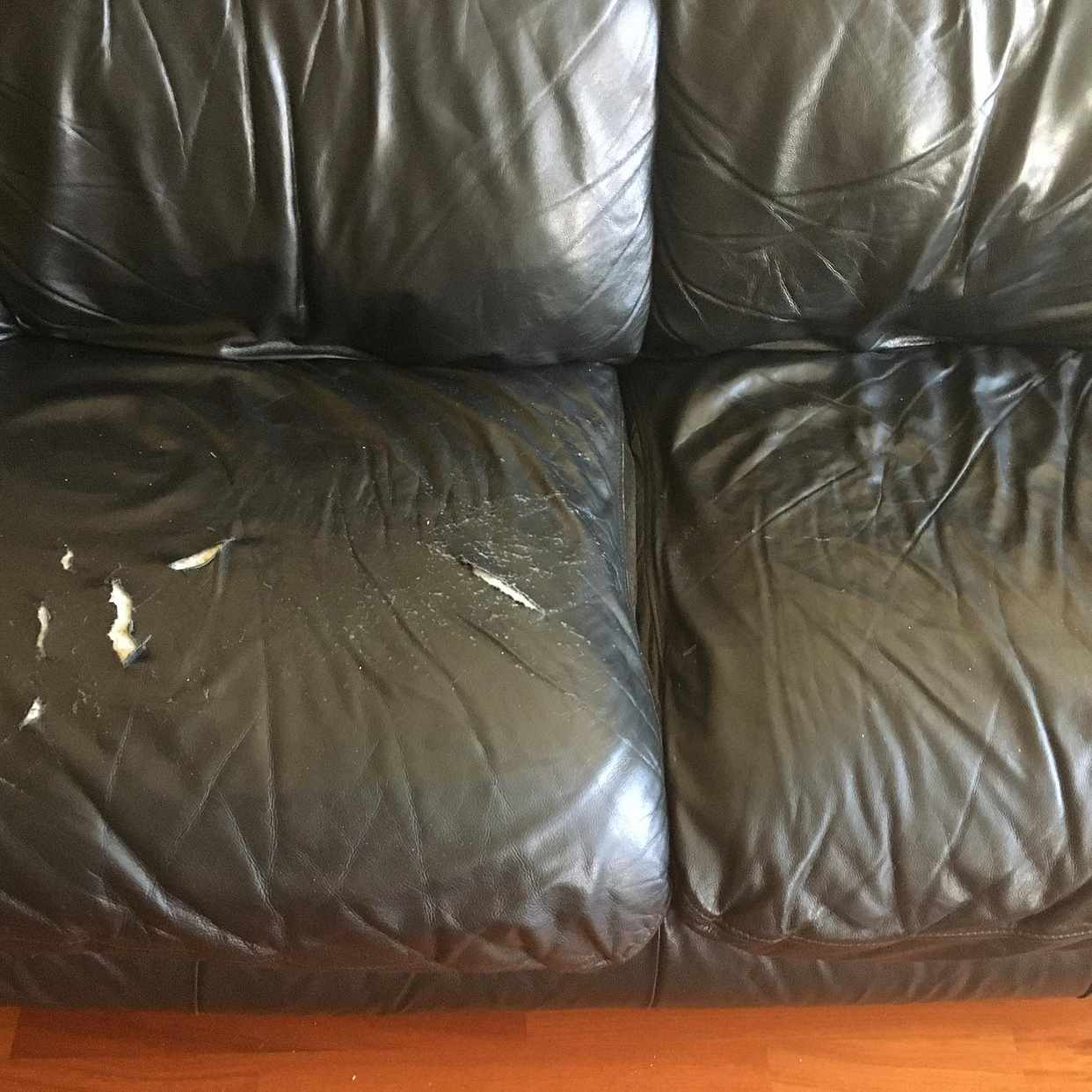 image of Sofa entsorgen - Berlin