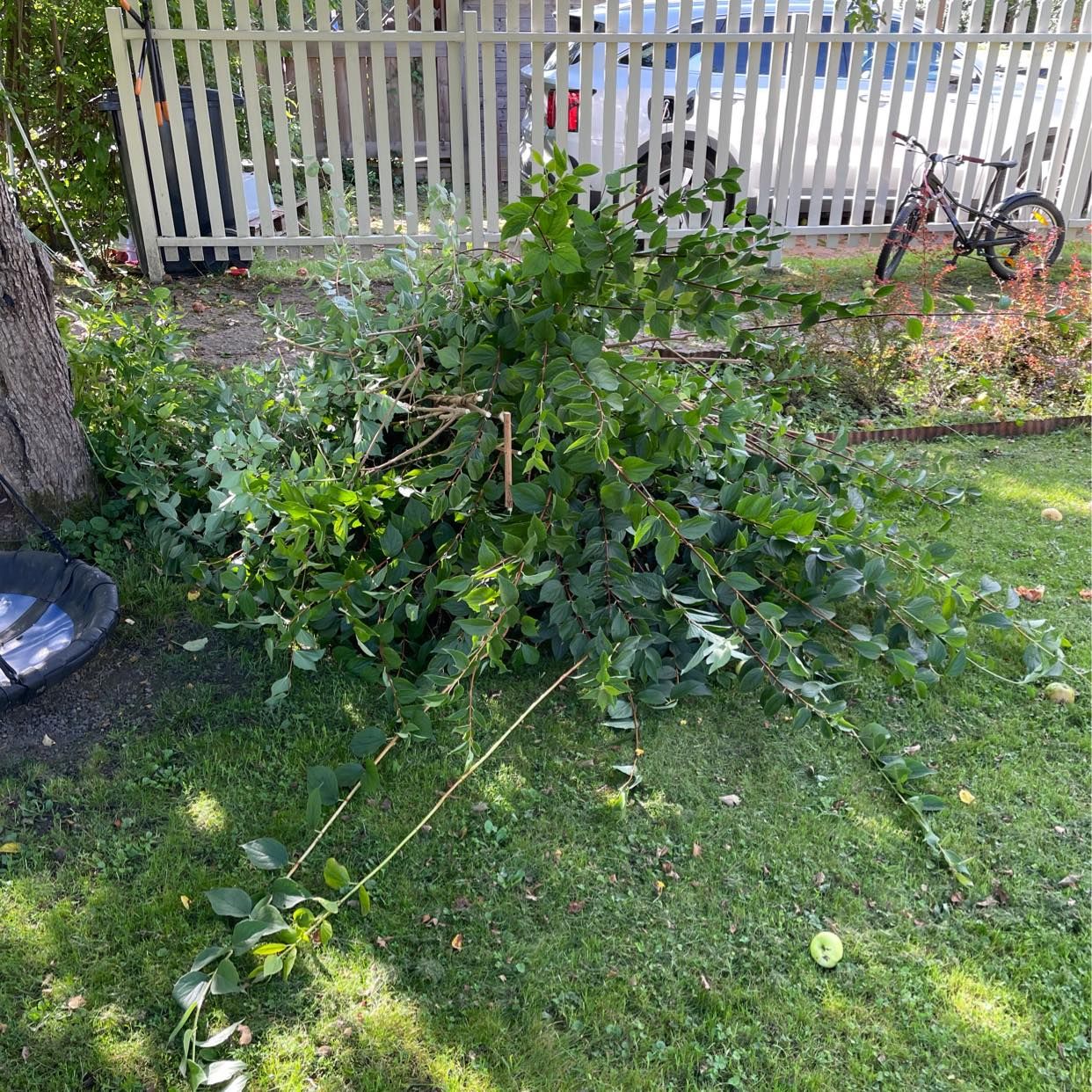 image of Hämta trädgårdsavfall - Bromma