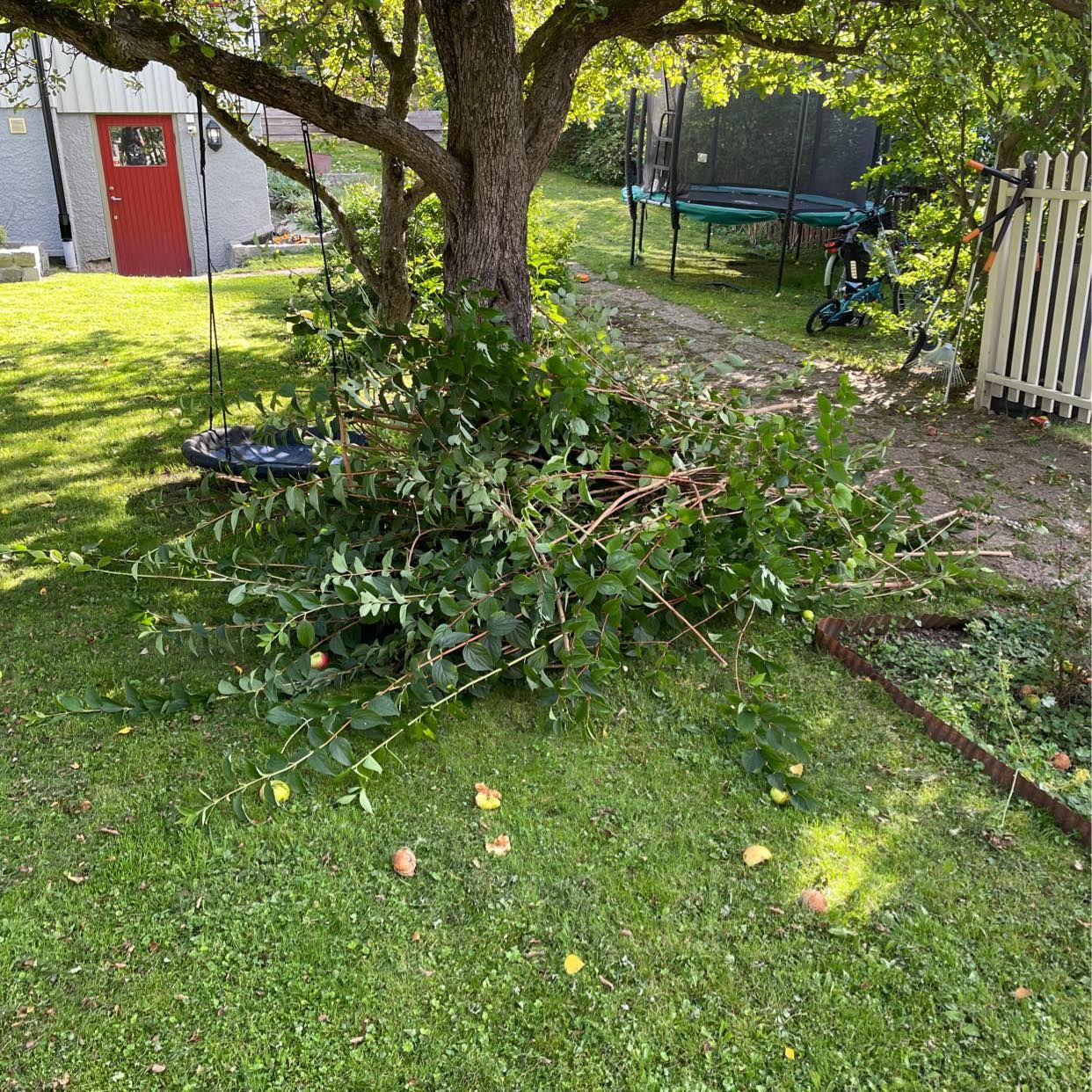 image of Hämta trädgårdsavfall - Bromma