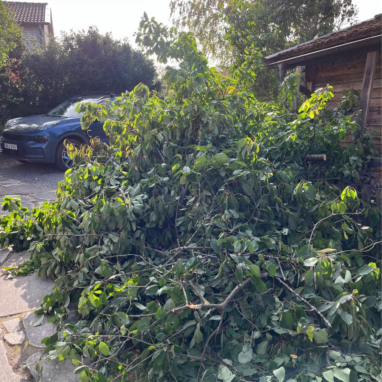 image of Garden waste - Hägersten