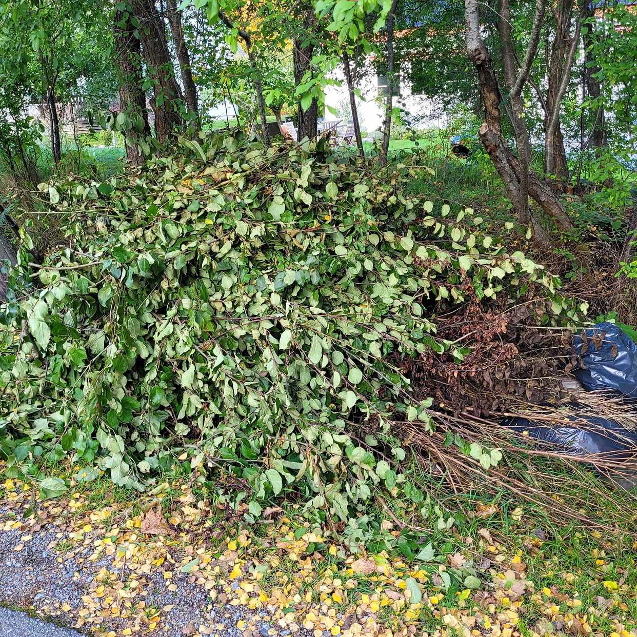 image of Ris o grenar - Huddinge