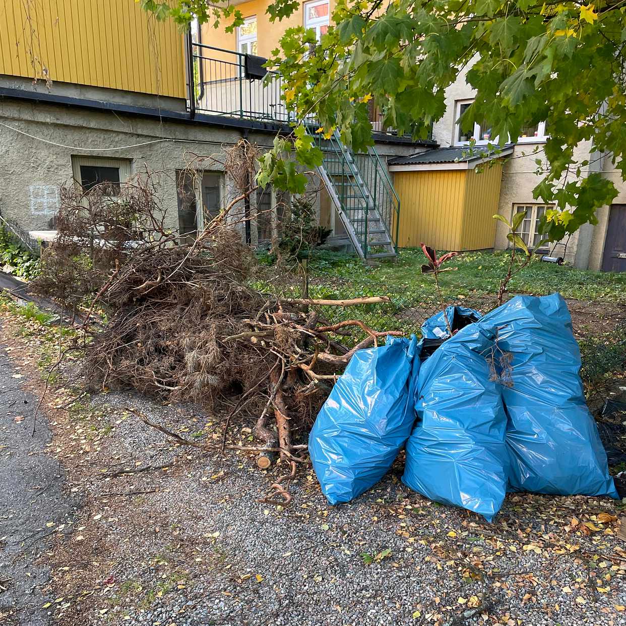 image of Trädgårdsavfall - Hägersten