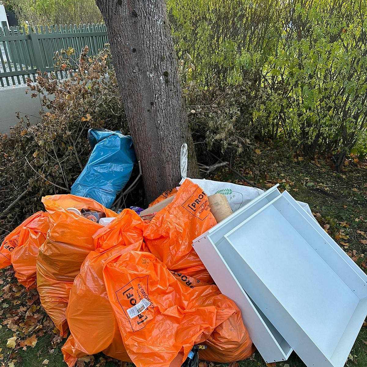 image of Färg, plast, grenar, trä, - Stocksund