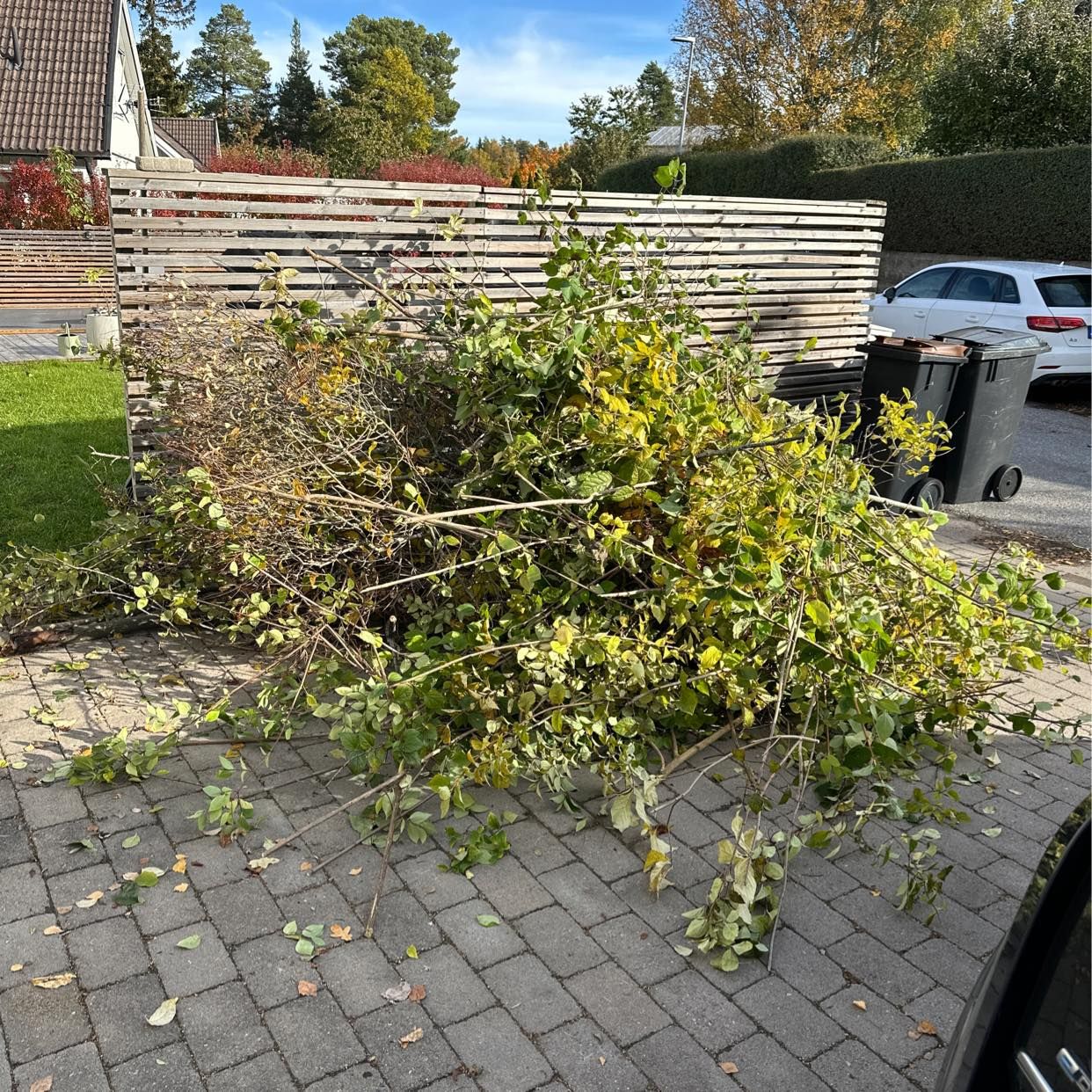image of Nedklippta buskar - Täby