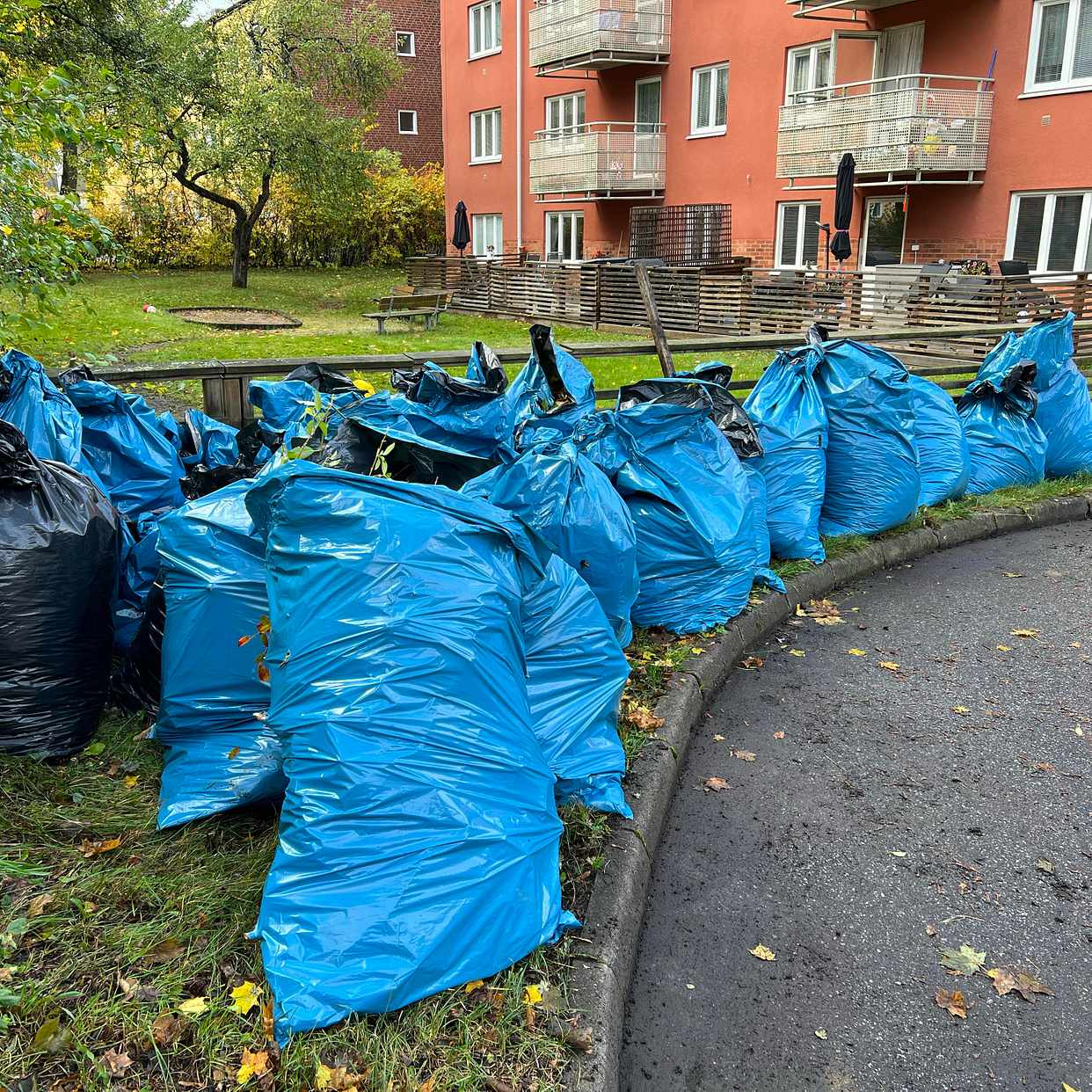 image of Säckar med löv och grenar - Sundbyberg