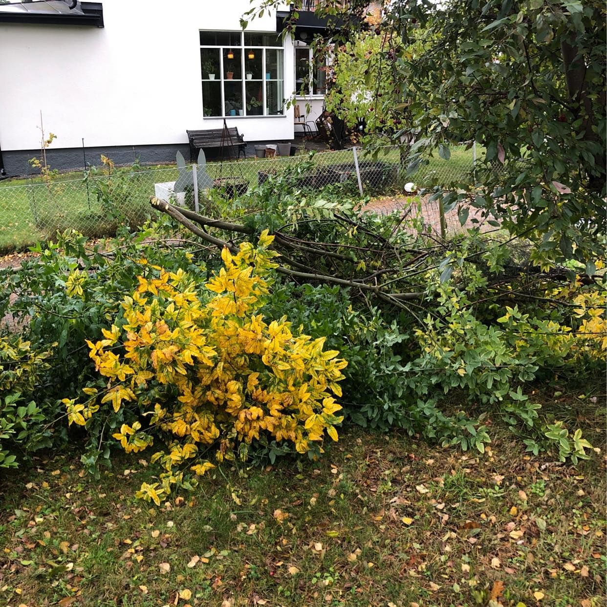 image of Grenar och diverse - Enskede