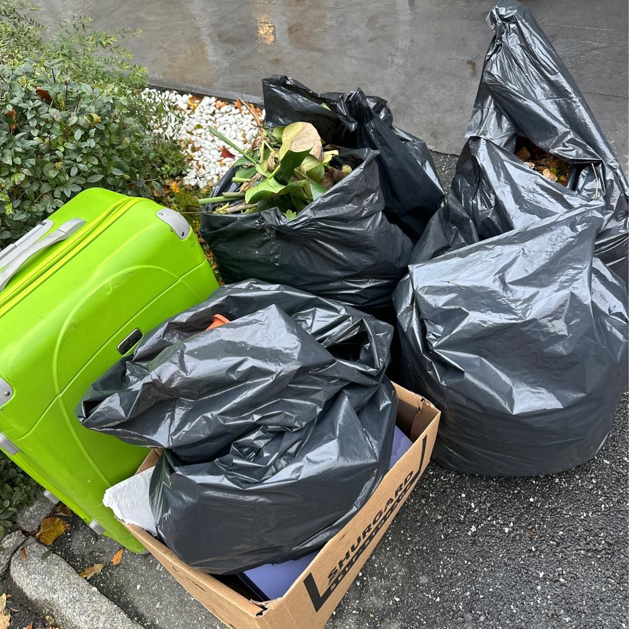 image of Kassar löv blommor plast - Nacka