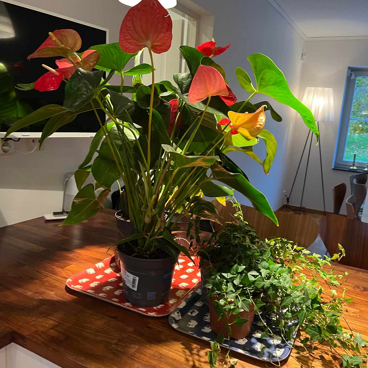 image of Bortskänkes blommor - Djursholm