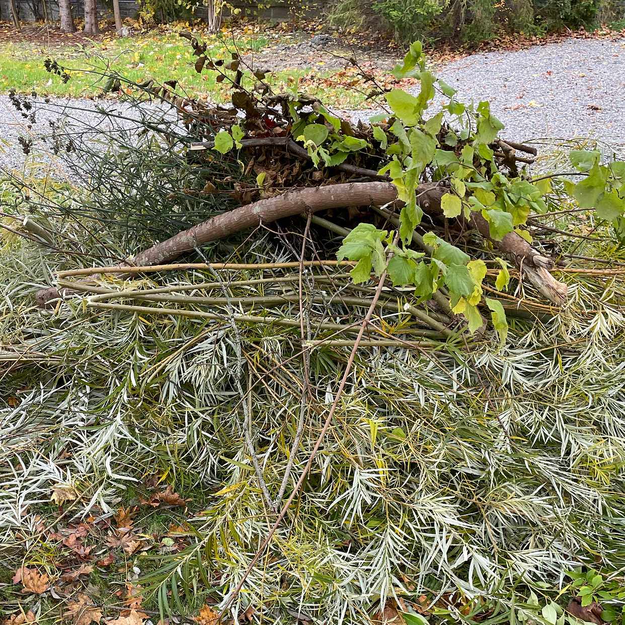 image of Grenar - Värmdö