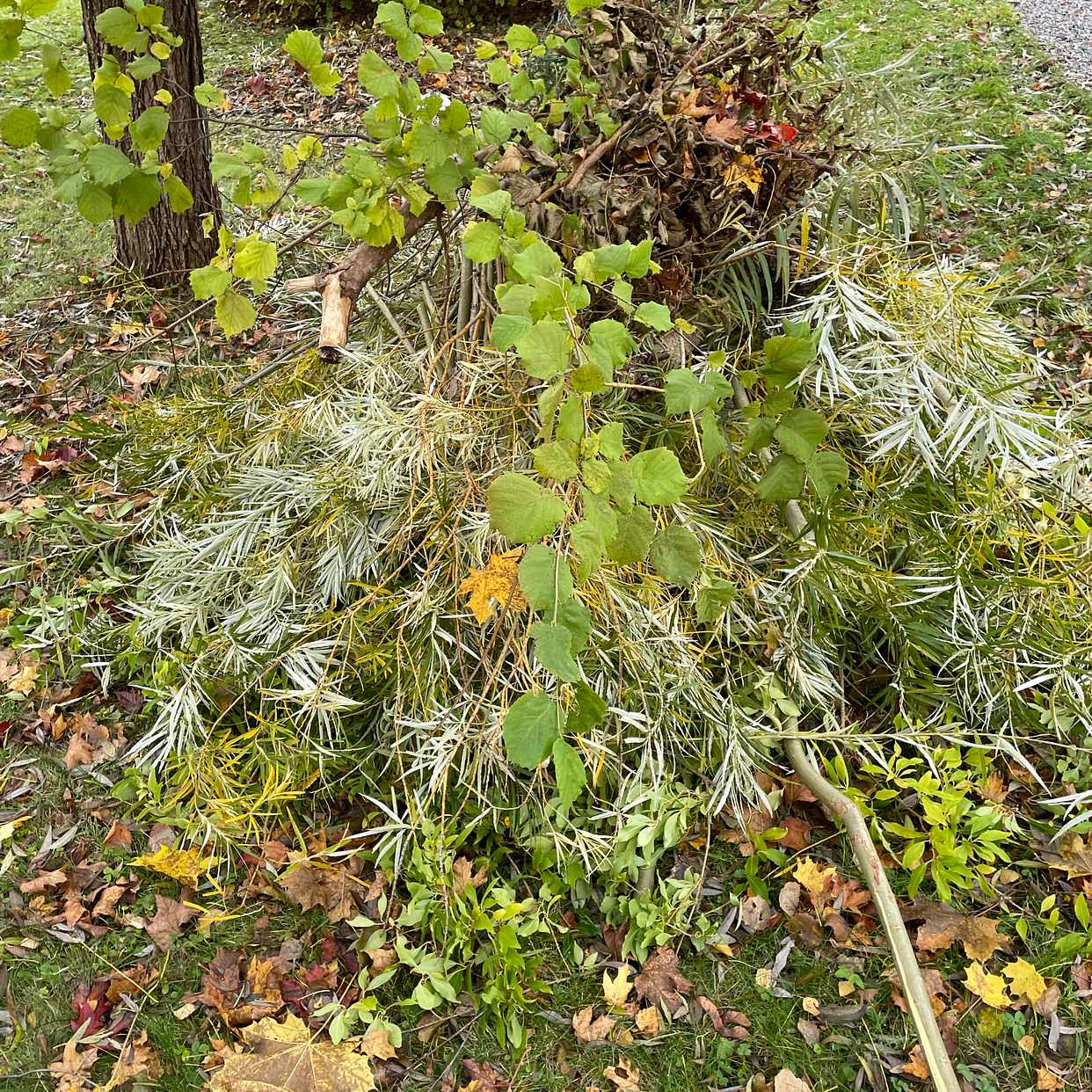 image of Grenar - Värmdö