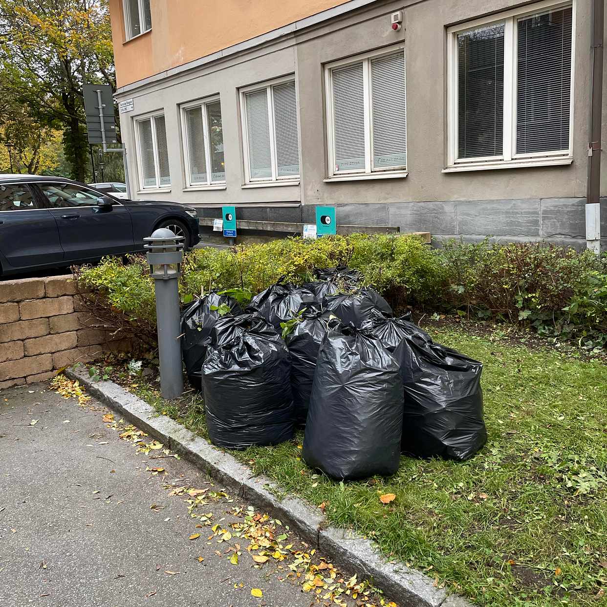 image of Säckar med löv/grenar - Stockholm