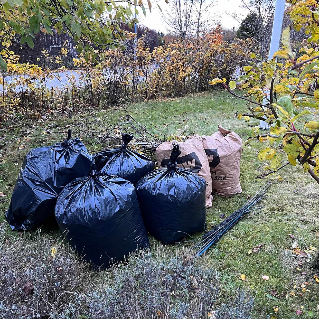 image of Löv och grenar - Värmdö