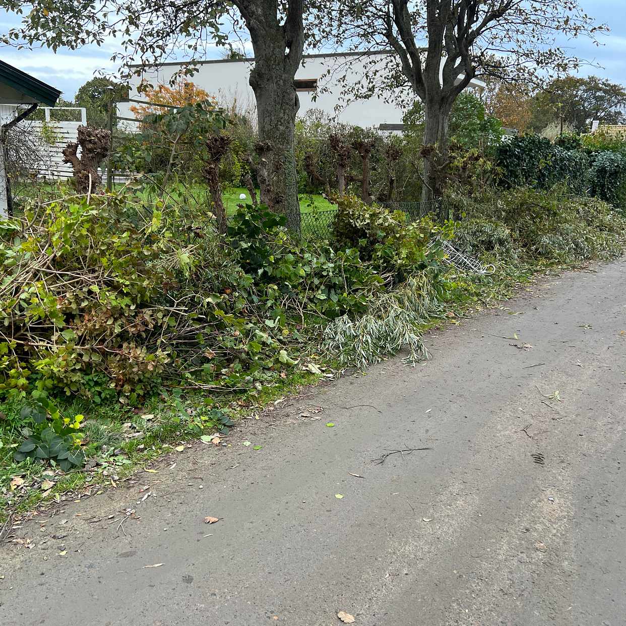 image of Grenar och metall - Falsterbo