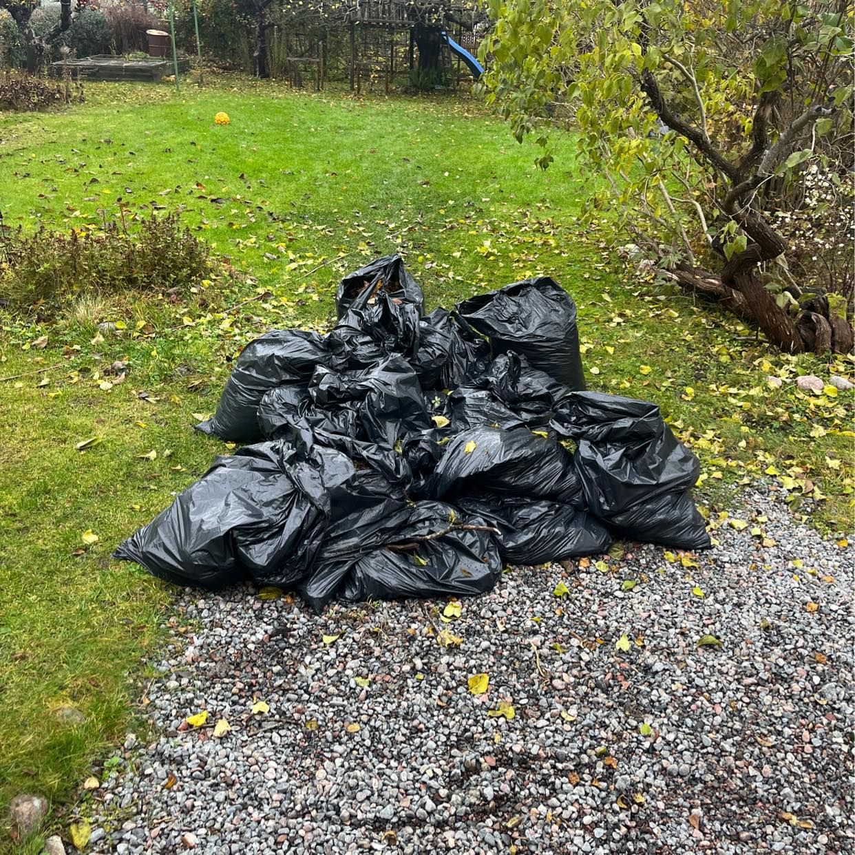 image of Garden Waste removal - Enskededalen