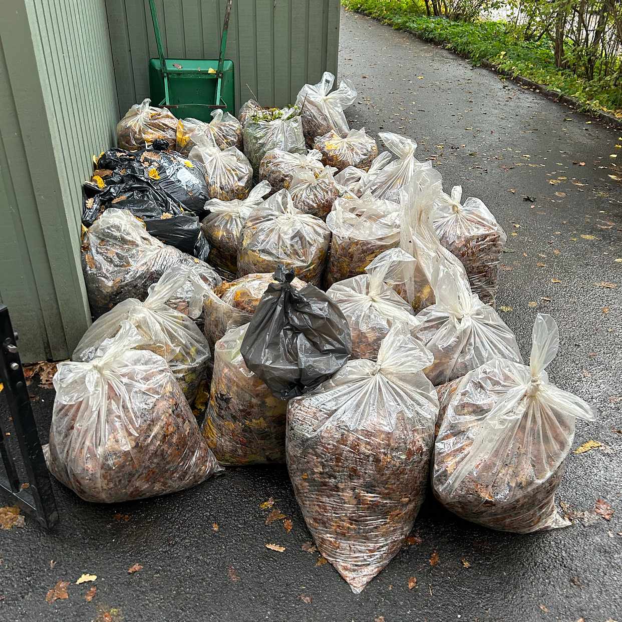 image of Bags of leaves - Östermalm