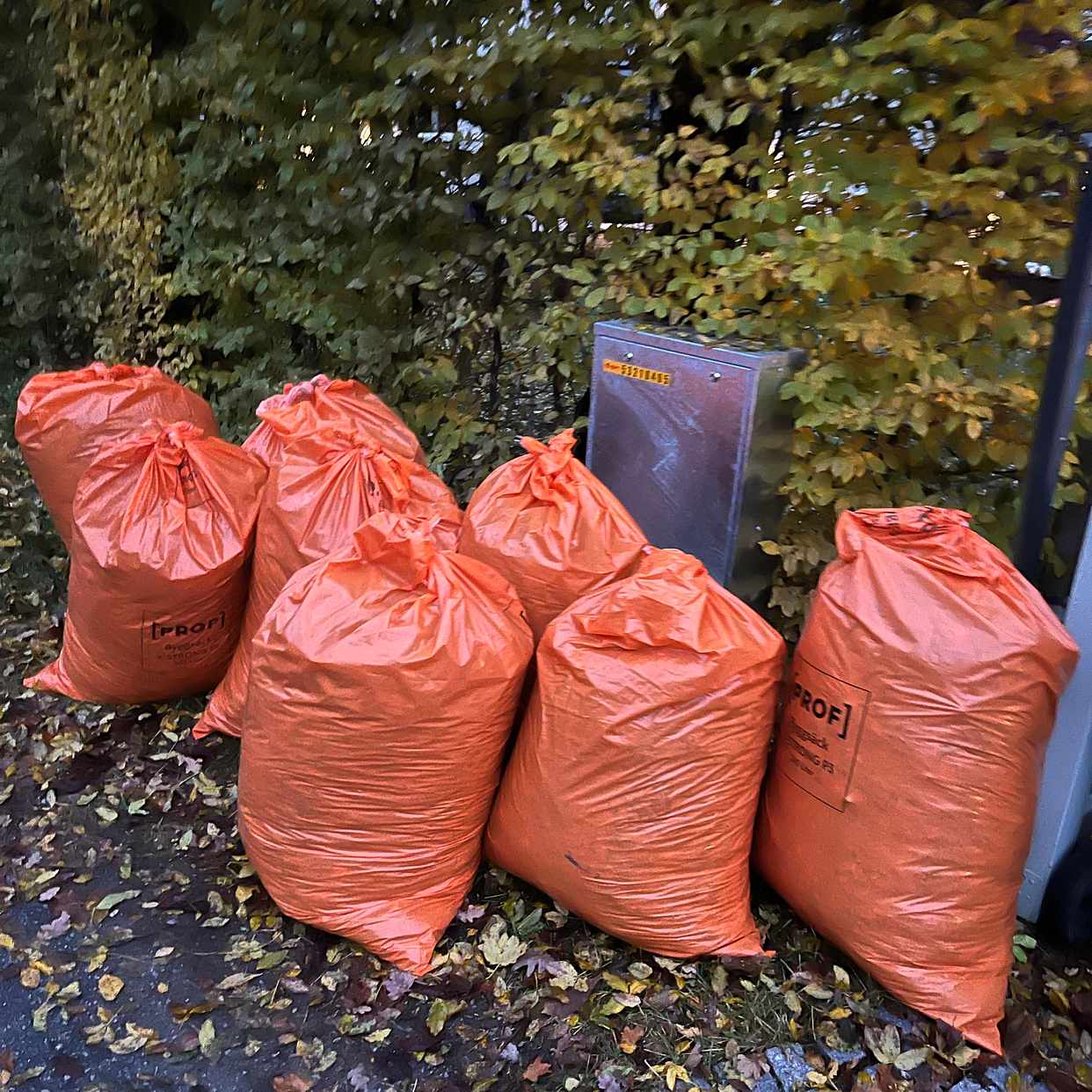 image of 8 bags lövsäckar - Djursholm