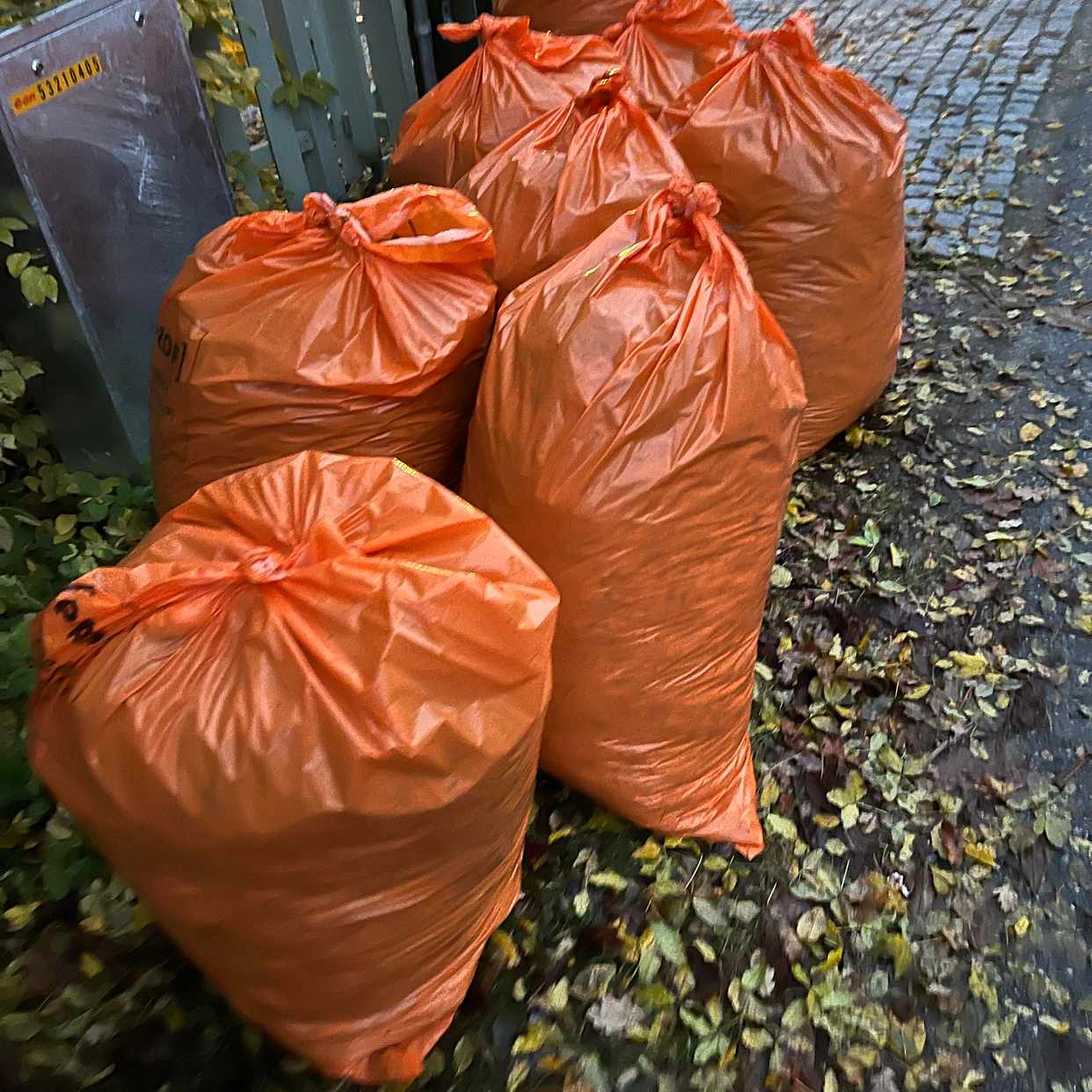 image of 8 bags lövsäckar - Djursholm