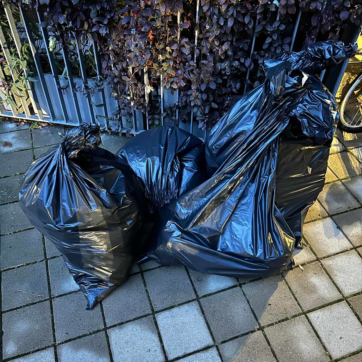 image of Trädgårdsavfall, plast - Stockholm