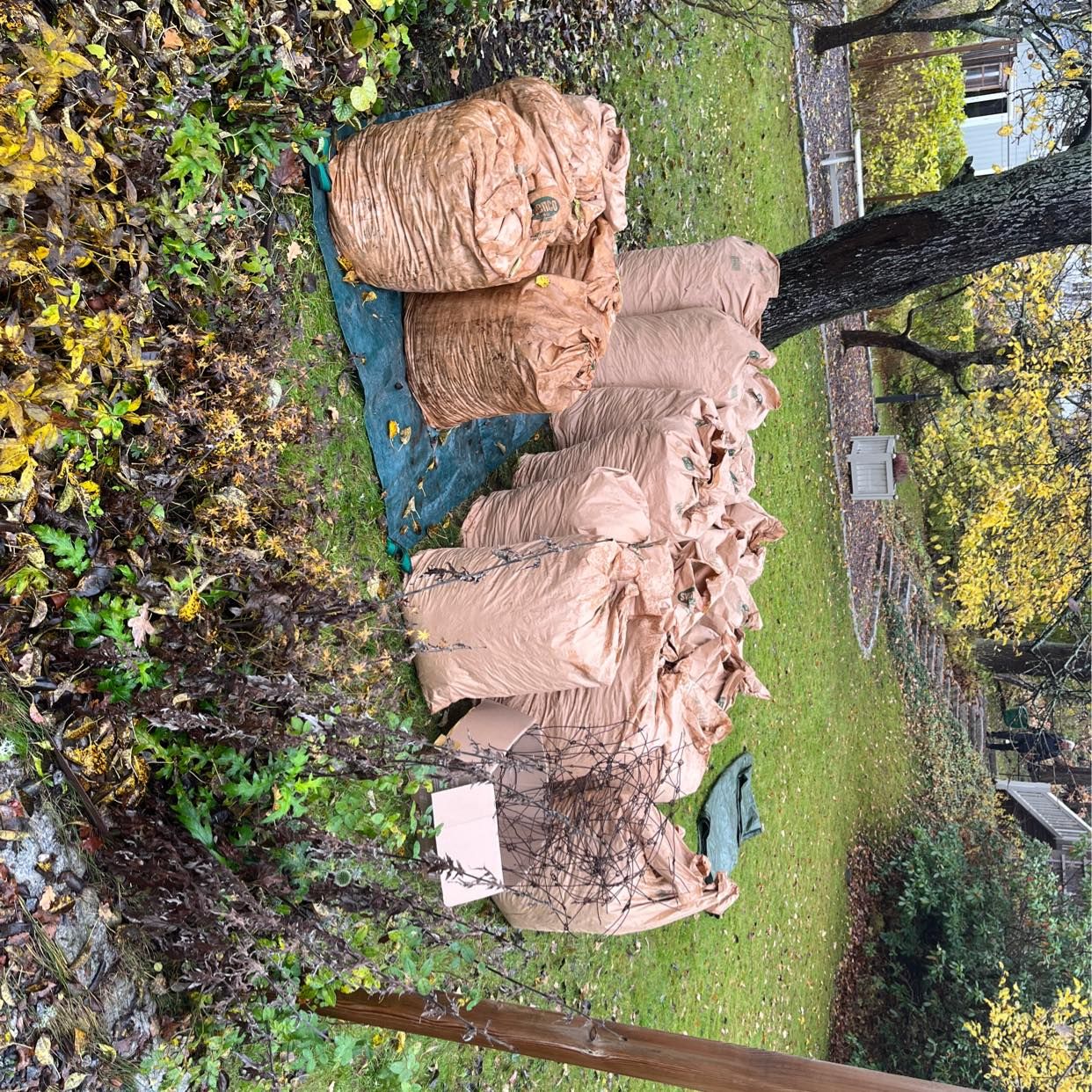 image of Lövsäckar och lite metall - Stocksund
