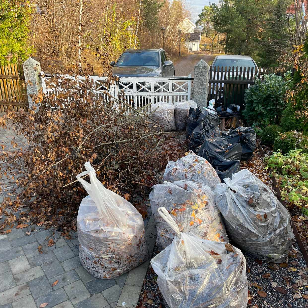 image of Lövsäckar, grenar och trä - Tyresö