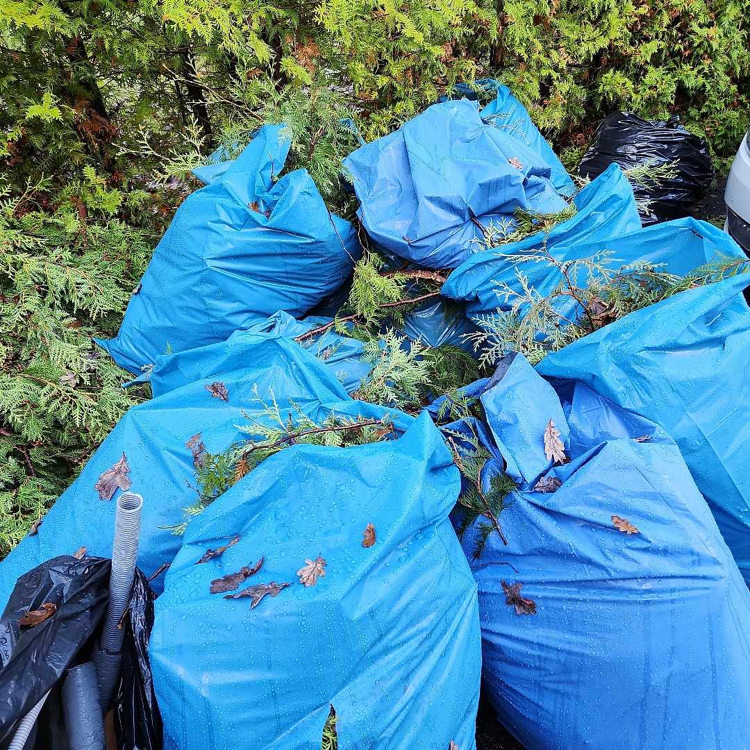 image of Diverse avfall mest löv - Tyresö