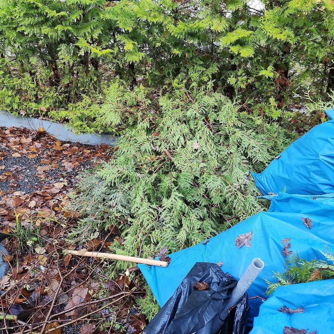 image of Diverse avfall mest löv - Tyresö