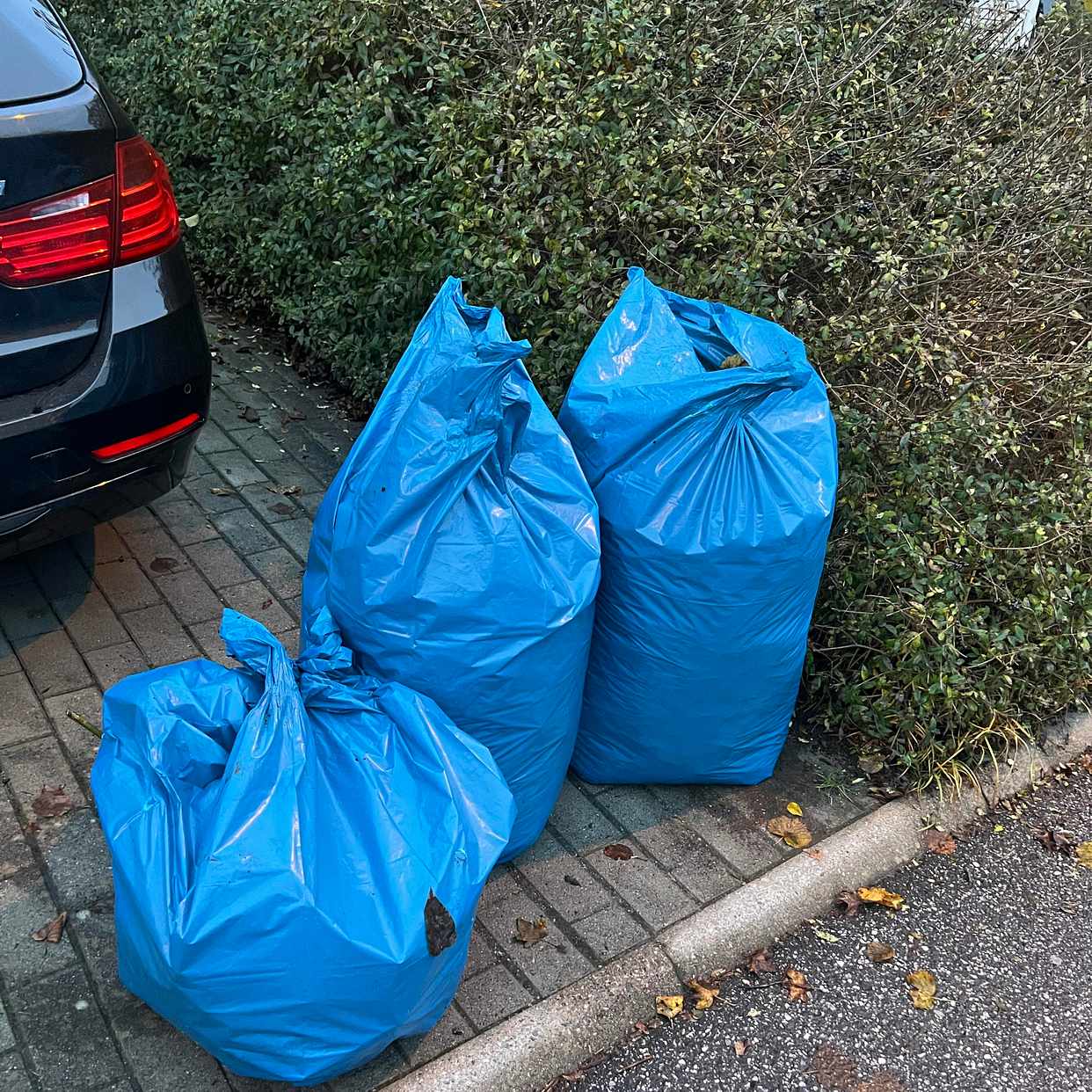 image of 2,5 säckar trädgårdsavfal - Bromma
