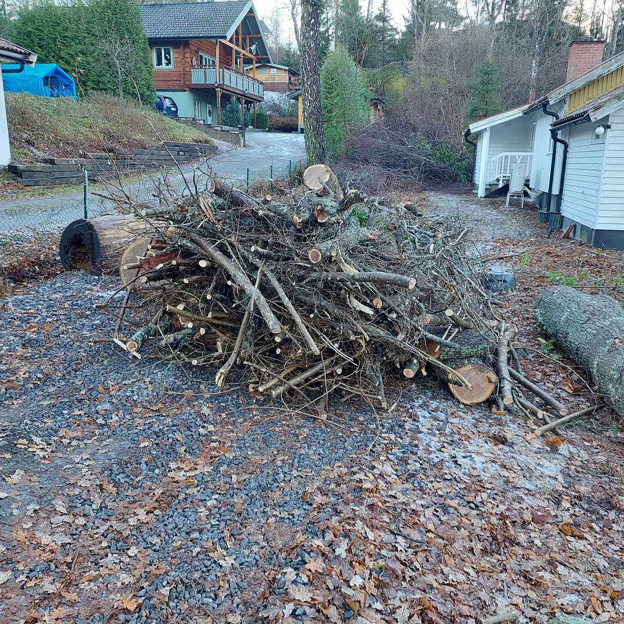 image of Ris, grenar, ved, virke - Tullinge