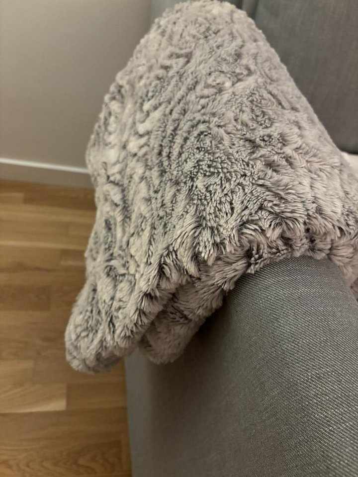 image of Bäddsoffa ljusgrå (divan) - 