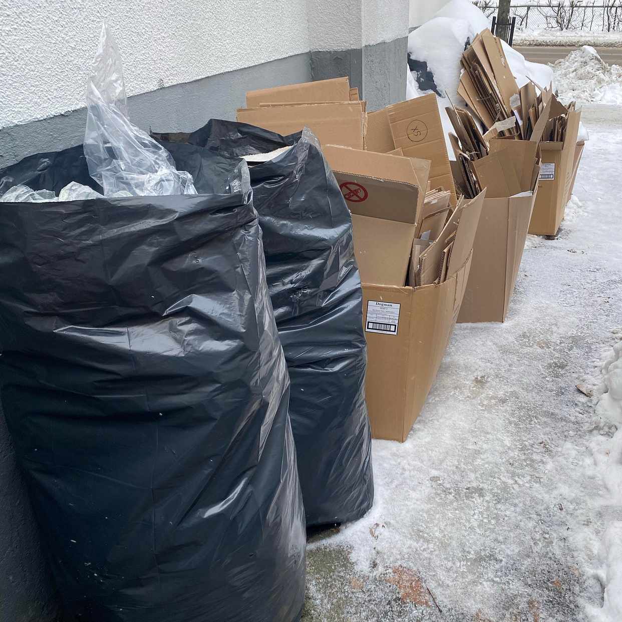 image of Kartonger plast hundmat - Lidingö