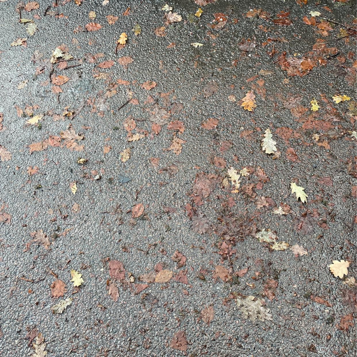 image of Att köra bort  6 säckar m - Göteborg
