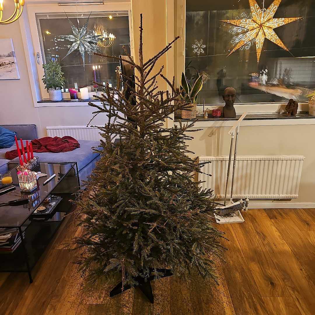 image of Julgran 1.5 m - Solna